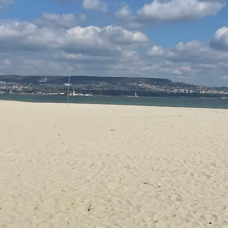 Admiral Plasa Studiyo-25c Słoneczny Brzeg